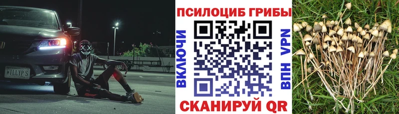 Галлюциногенные грибы Magic Shrooms продажа наркотиков Люберцы
